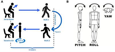 Thigh-Derived Inertial Sensor Metrics to Assess the Sit-to-Stand and Stand-to-Sit Transitions in the Timed Up and Go (TUG) Task for Quantifying Mobility Impairment in Multiple Sclerosis